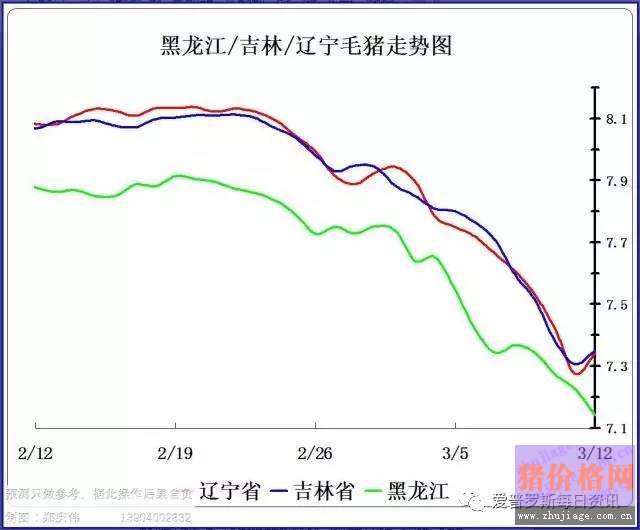 一邊白條掉價(jià)，一邊毛豬價(jià)格反彈，這是要上演鴻門宴么？
