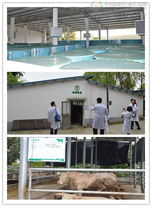 initpintu_副本.jpg