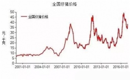 句句在理，有圖有真相！近五年生豬生產(chǎn)形勢(shì)分析
