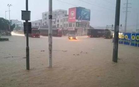 廣州突降特大暴雨:市民客廳養(yǎng)魚 生豬街頭游泳
