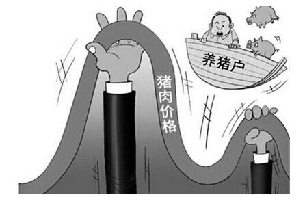 養(yǎng)豬人哭著說(shuō)：豬價(jià)去年高得不正常，今年跌得不正常