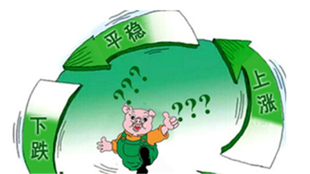 環(huán)保高壓能改變豬周期走勢(shì)嗎?