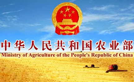 于康震:提升生豬屠宰監(jiān)管能力推進(jìn)生豬屠宰行業(yè)轉(zhuǎn)型升級(jí)