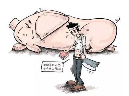 其實(shí)養(yǎng)豬業(yè)并非是一個能肆意擴(kuò)張的行業(yè)