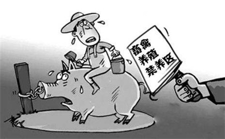 全國禁養(yǎng)區(qū)已超60萬平方公里！還有哪里可以養(yǎng)豬？