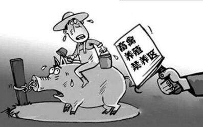 2018年養(yǎng)豬五大要素需注意,賺錢路上別被落下了