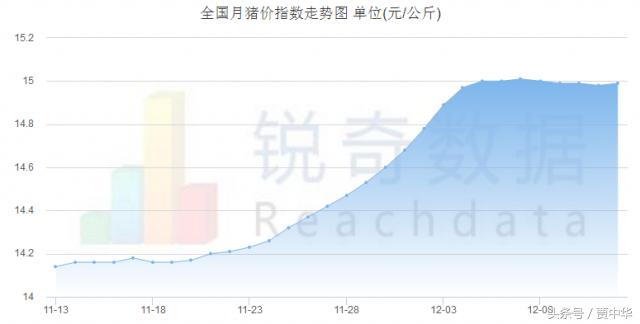 豬市分析：利好利空皆兩說(shuō)，下一節(jié)點(diǎn)又在哪里