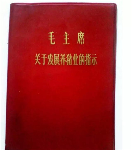 毛澤東:關(guān)于養(yǎng)豬業(yè)發(fā)展的一封信