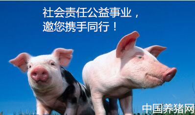 優(yōu)秀的企業(yè)總能積極的回應(yīng)時代的訴求，以促進(jìn)社會的良性發(fā)展，社會責(zé)任公益事業(yè)是大勢所趨。