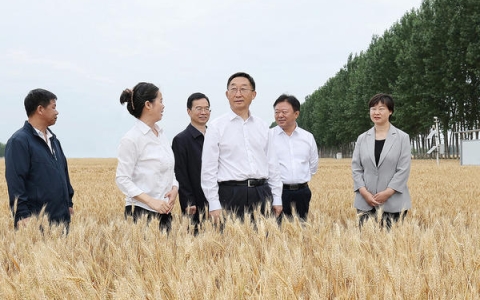 劉寧到開封尉氏縣看望慰問“三夏”生產(chǎn)一線人員并督導調(diào)研“三夏”工作
